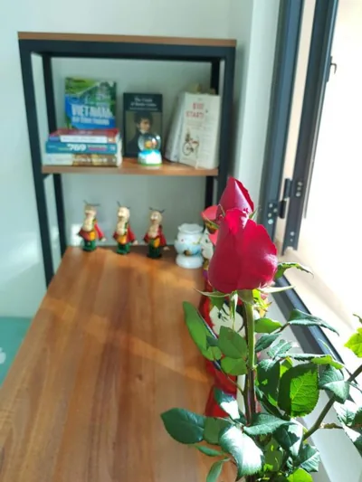 Water puppet nest - private and cozy space for you – Fotos 2